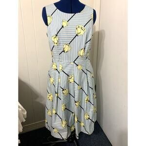Talbots Dress Size 10 Blue White Yellow Rose Fit N Flare Sleeveless Lined Easter